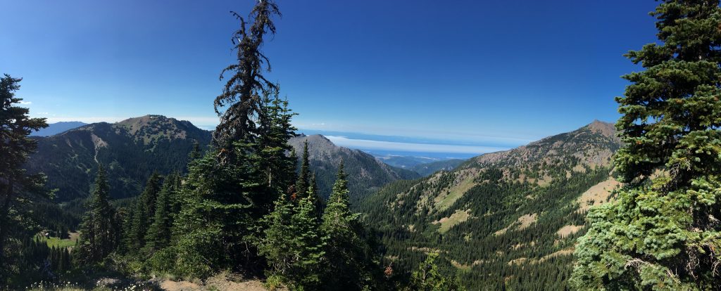 Hurricane Ridge